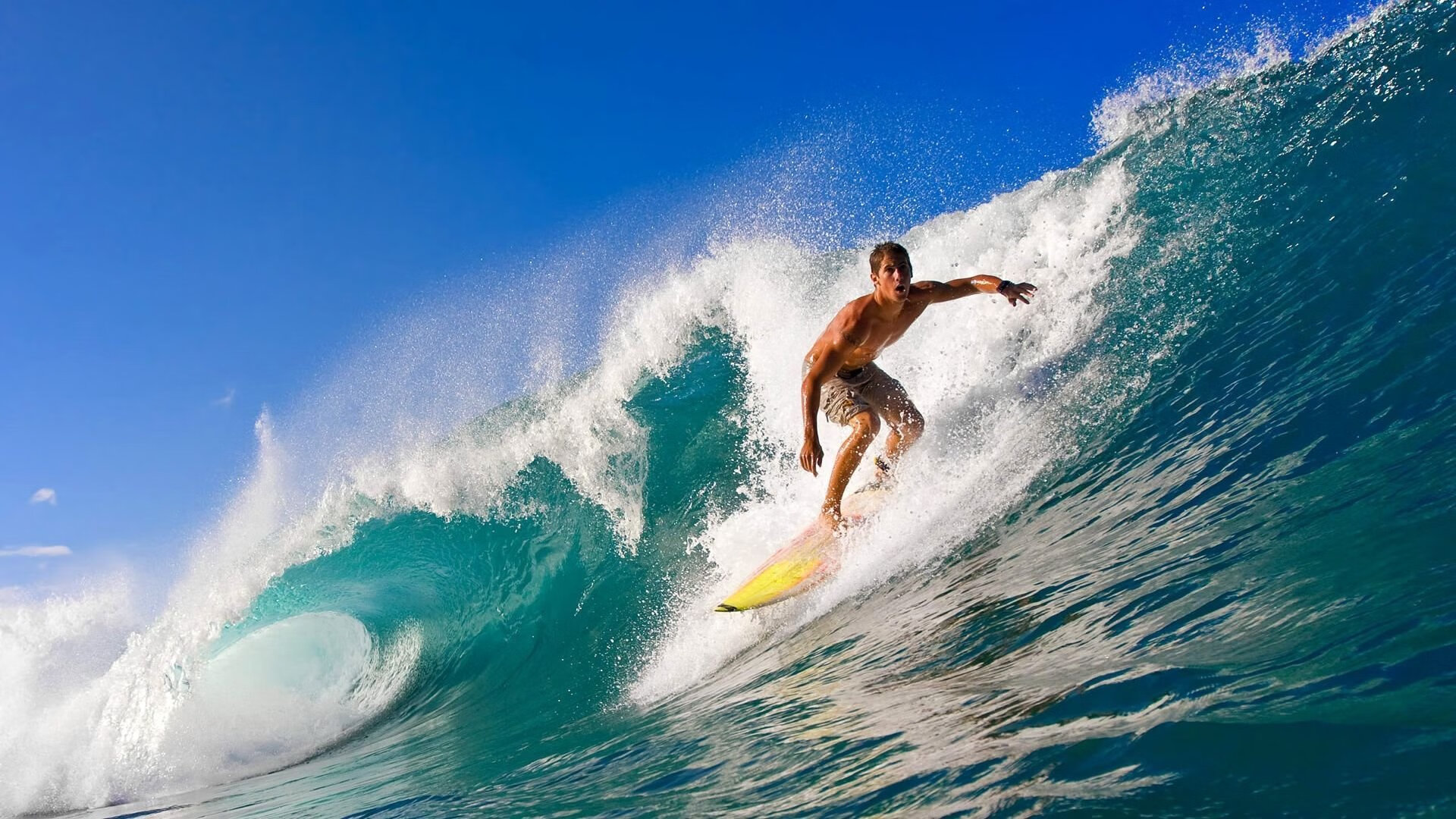 开云体育-“未来赛车：新能源技术引领速度新潮流”，未来的赛车