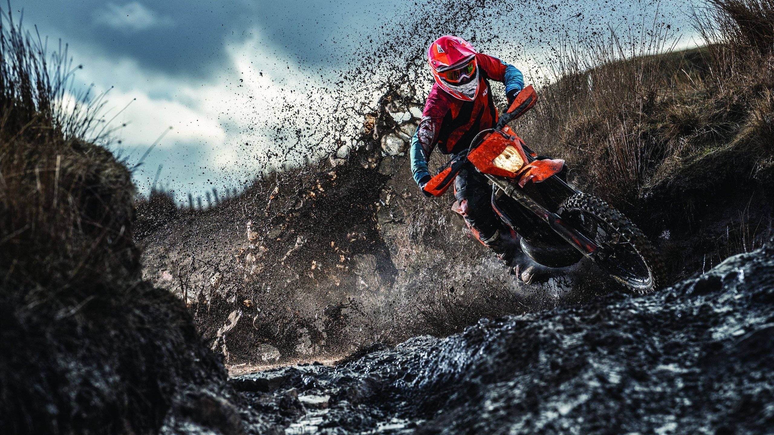 城市体育公园中“篮球+运动+文化”融合空间广受欢迎，体育公园规模